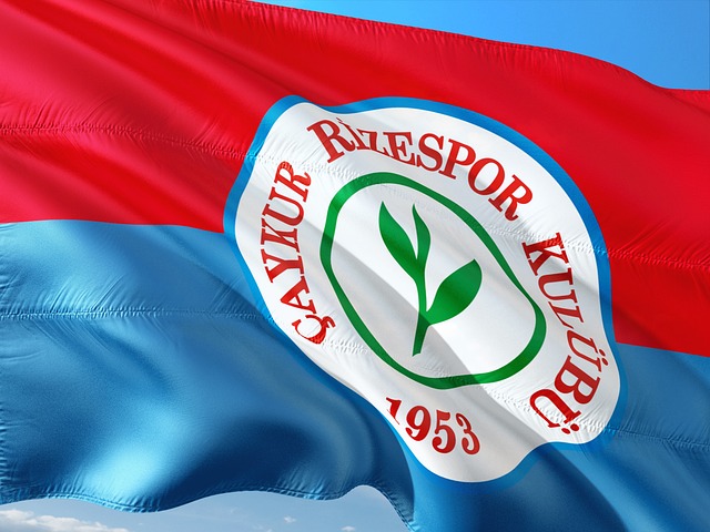 VP老板：踢掉电子哥和Jame都是选手和教练共同要求的