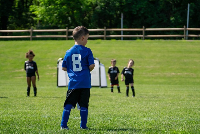 CBA：山西男篮主场大胜北控